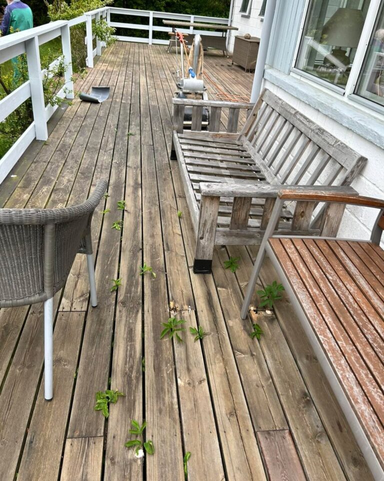 Instagram post from nc_gulve. This post is in position 2.